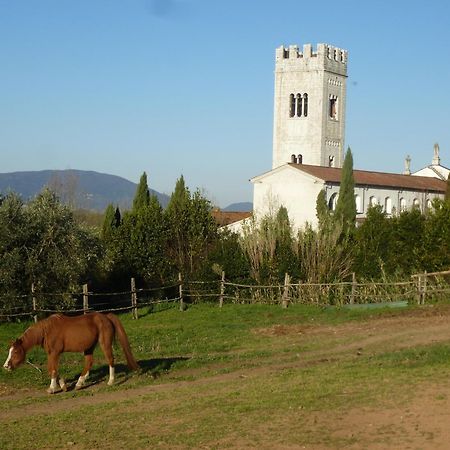 Casa Marce A "Sonno" Bed & Breakfast Porcari Екстериор снимка