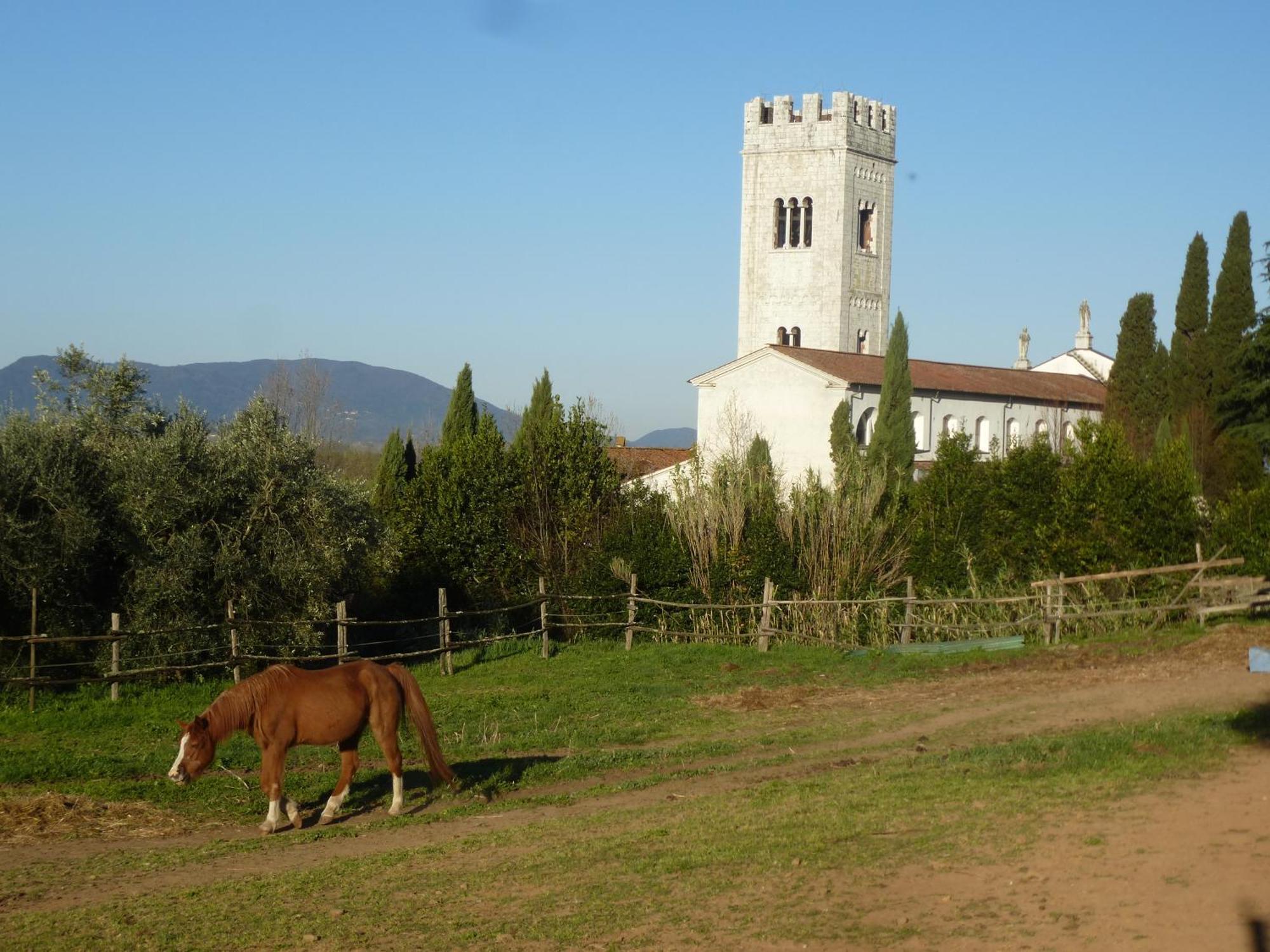 Casa Marce A "Sonno" Bed & Breakfast Porcari Екстериор снимка